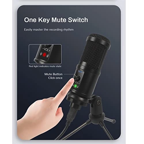 ss1/i47654 USB Microphone