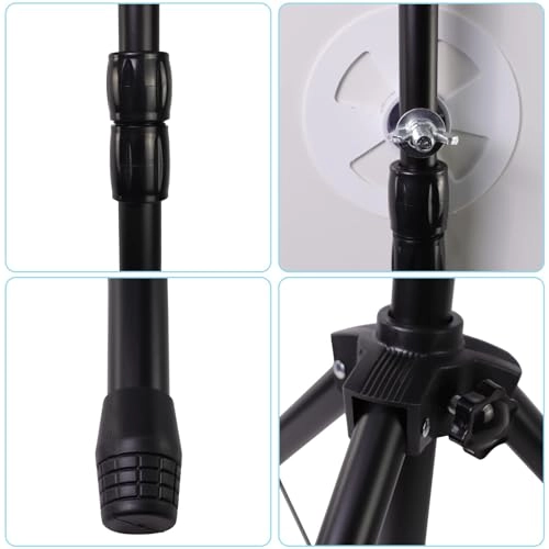 Spinning Wheel - 5 years and up