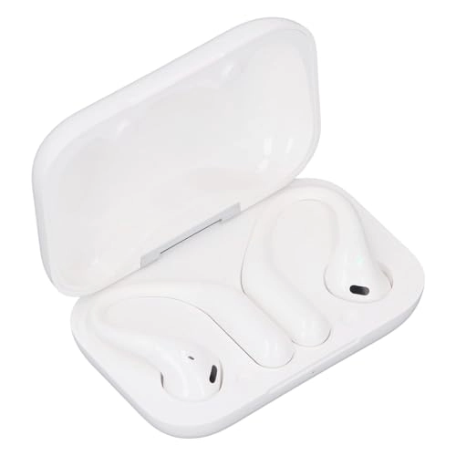 Al Translation Earphone