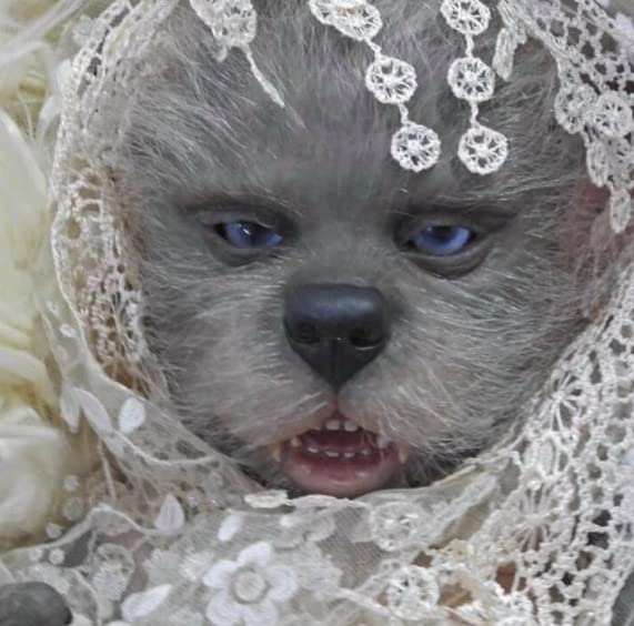 Enjoy with Love Lula Kane Reborn Doll - 18 Inch Unfinished Kit