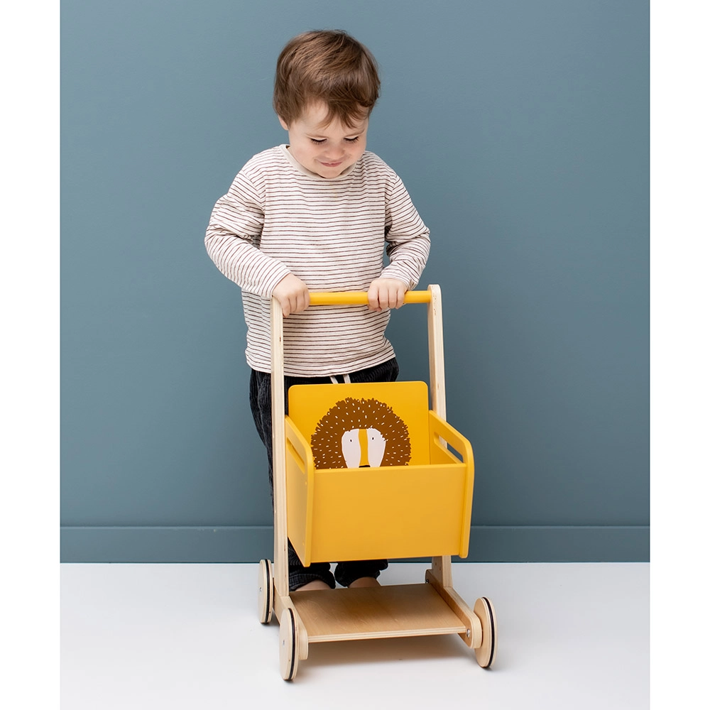 Wooden Shopping Cart - Mr. Lion - Suitable for 12 months & above