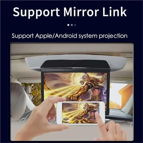 Roof Ceiling Monitor - 1920x1080 17.3 Inch