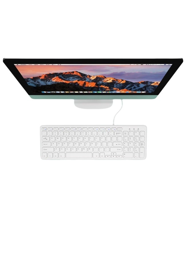 Rainbow Light-104 - Wired