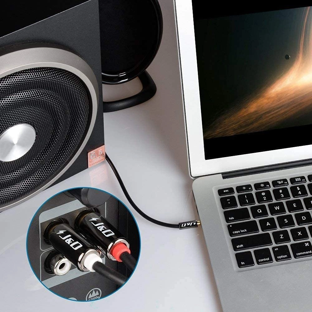 3.5 mm to 2 RCA Cable - 0.65 Feet