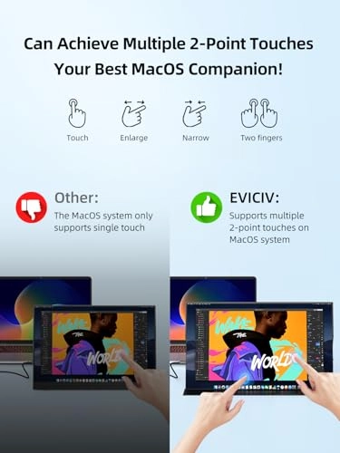Portable Monitor - 1080P 18.5 Inch