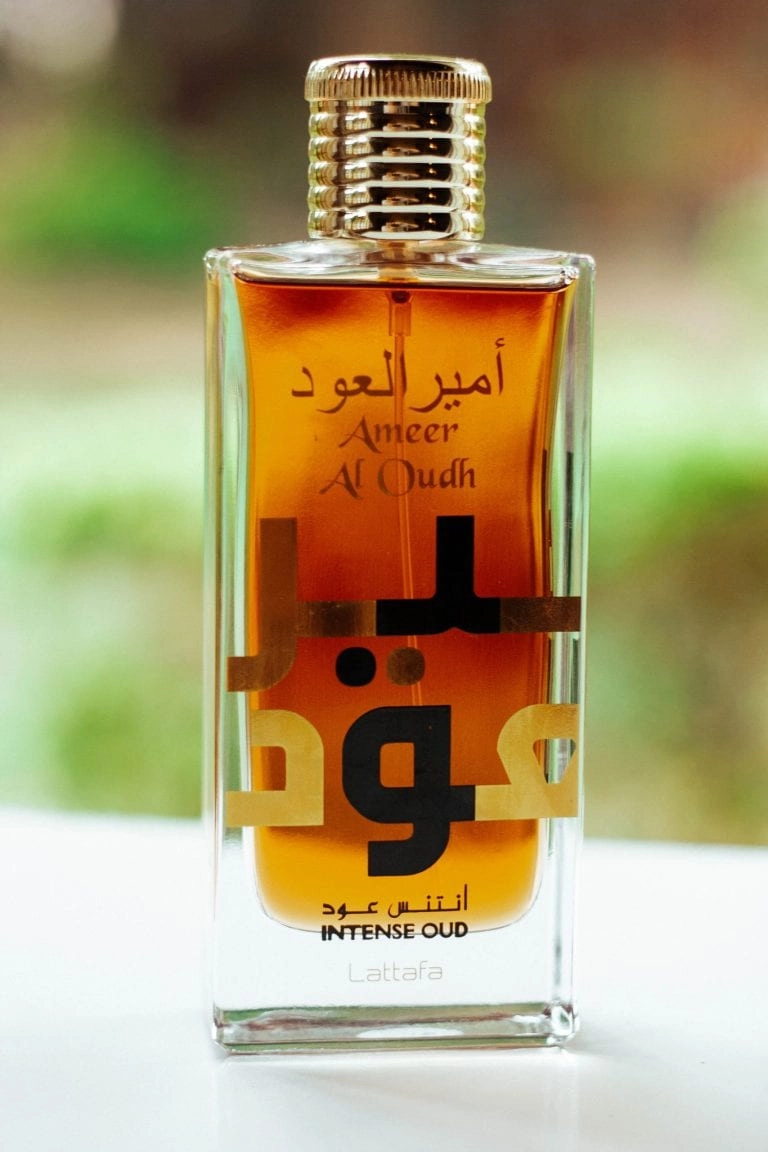 Ameer Al Oudh Eau de Parfum 100 ml