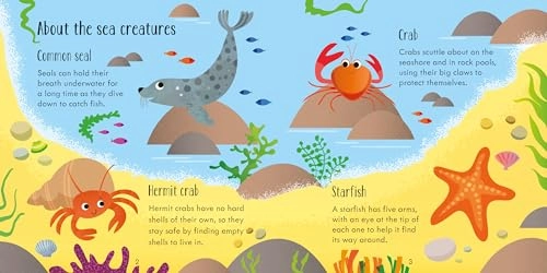 Under the Sea Matching Games and Book