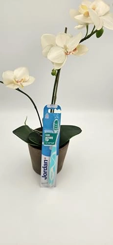 Clinic Active Tip - Soft