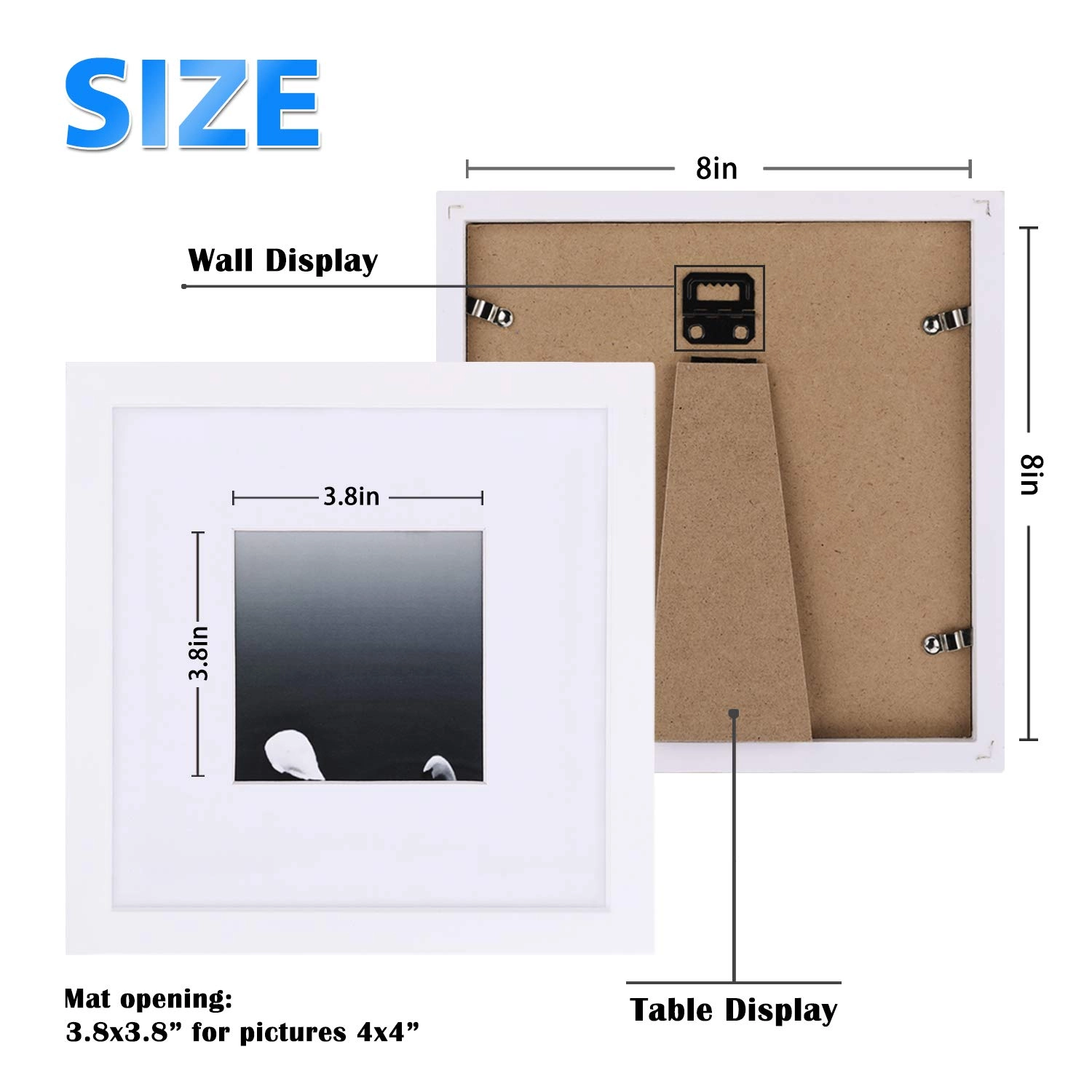 8x8 Picture Frames