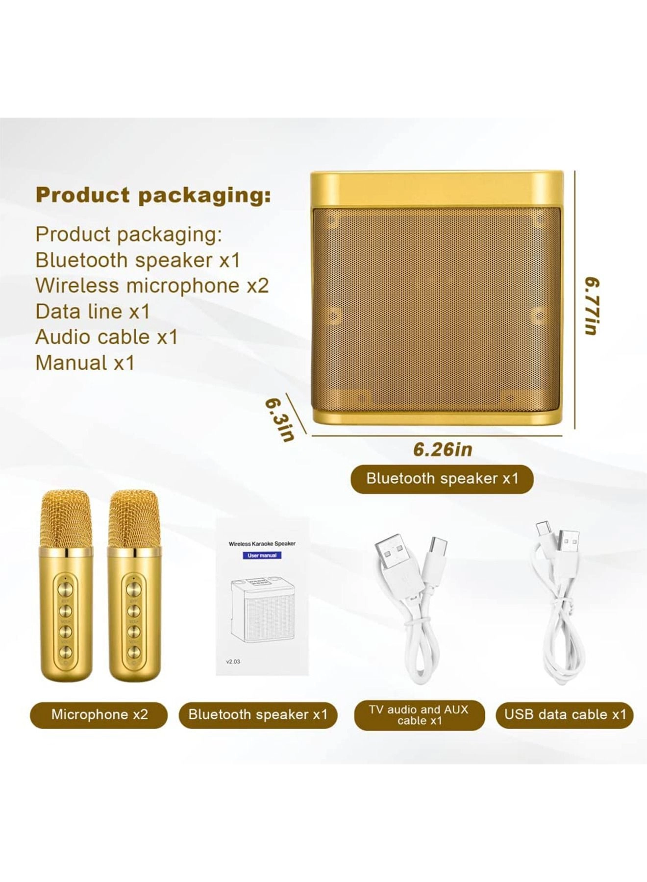 Portable Wireless Karaoke Microphone - two Y21 microphones