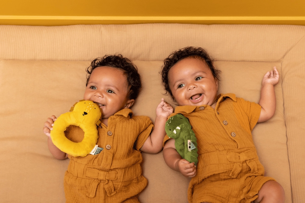 Mr. Lion - Suitable for 0 month and above