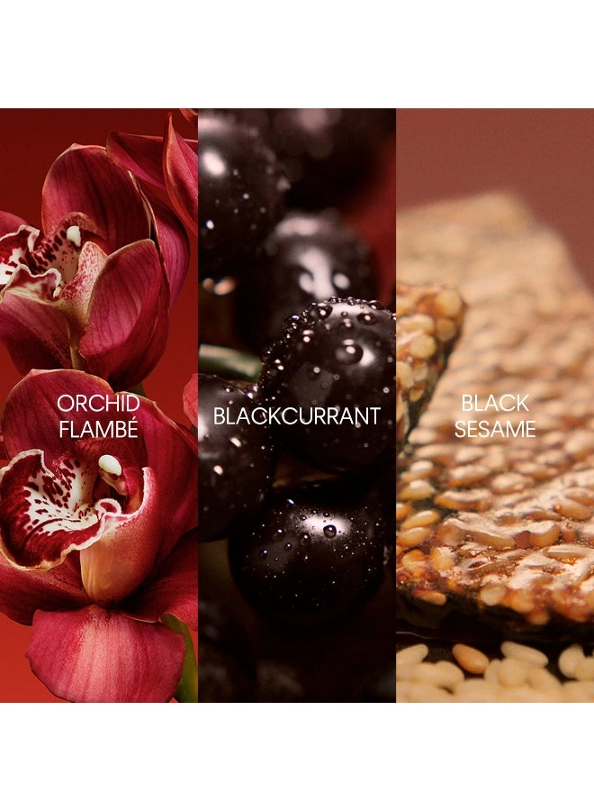 My Euphoria Eau de Parfum 50ml