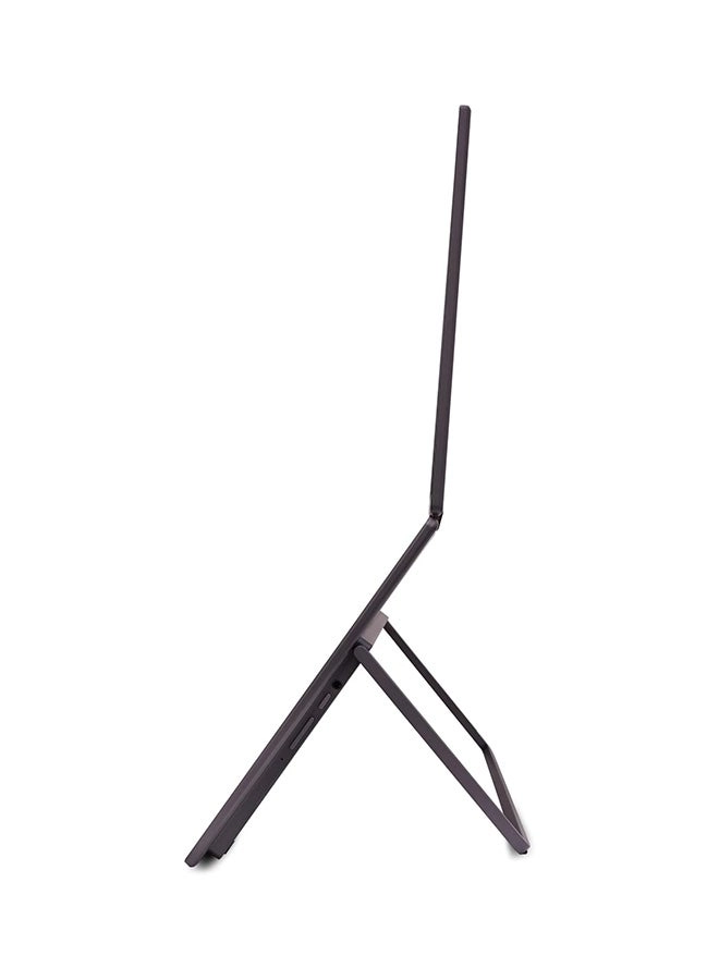 PD163Q/UM.ZP3EE.009 - 15.6 in 1920x1080