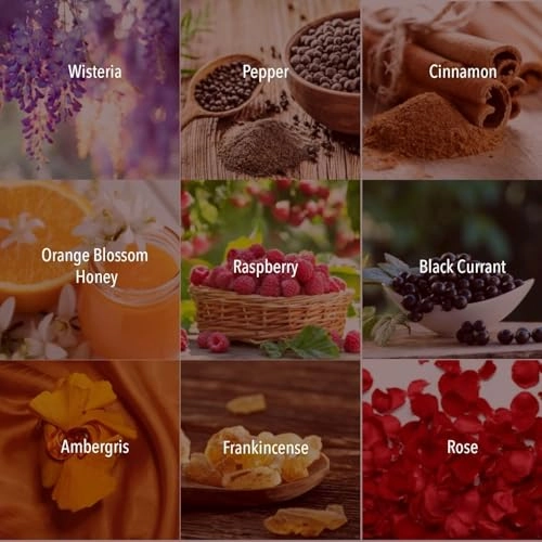 Arabian Eau de Parfum 100ml