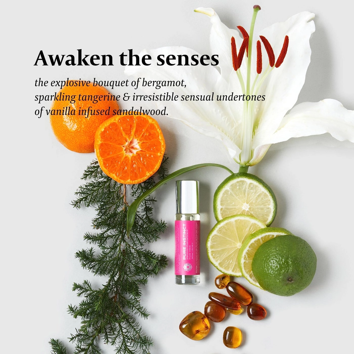 Citrus, Musk, Spicy, Wood Eau de Parfum 10.2ml