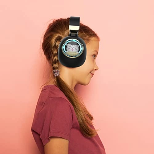 MS-B4 Wired Headphone