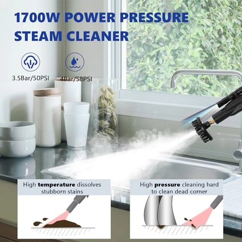 Handheld Steam Cleaner - 1700W 220V Tankless