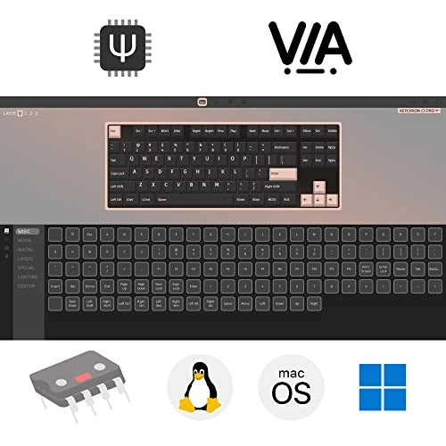 C1 - Mac Wired
