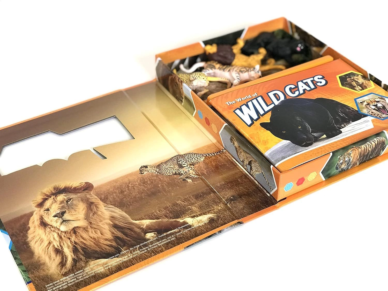 Wild Cats Pocket Explorers - 3 +