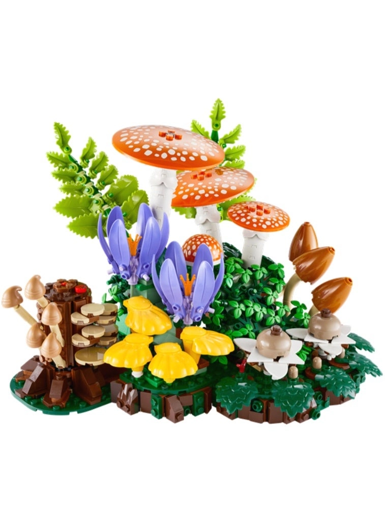 Woodland Mushrooms