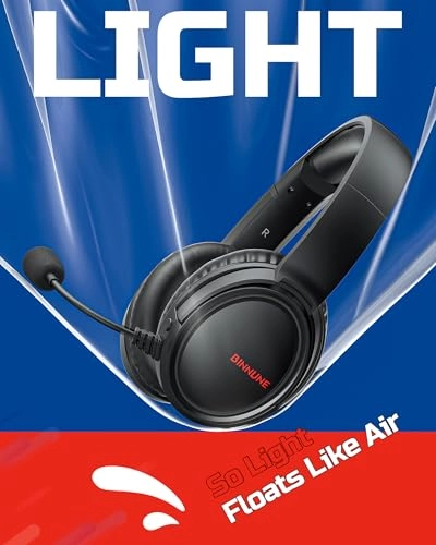 BW02-BT Wireless Headset