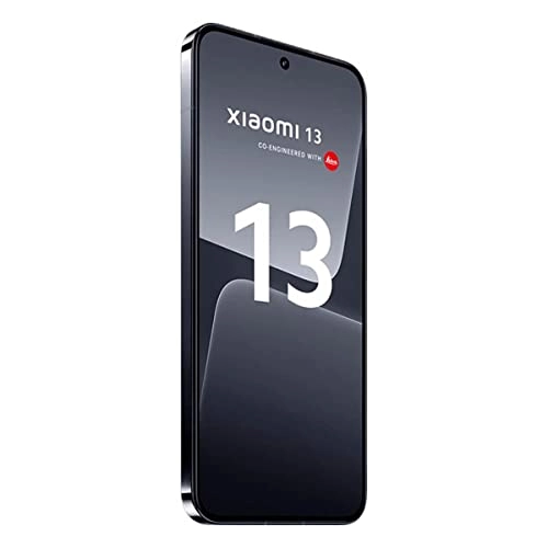 13 - 8GB 256GB