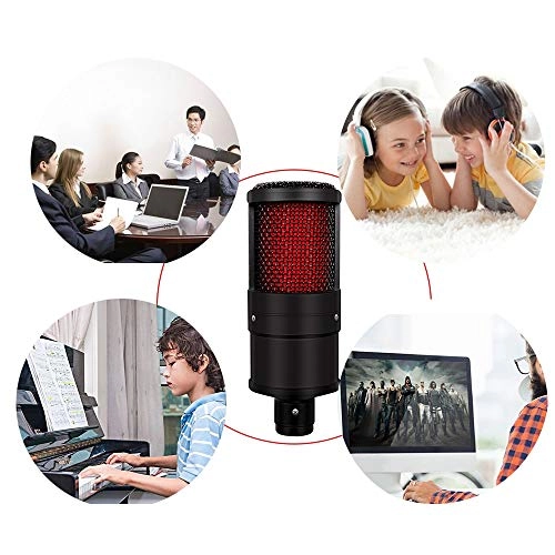 ss1/i47612 USB+3.5mm-Mini-Jack Microphone