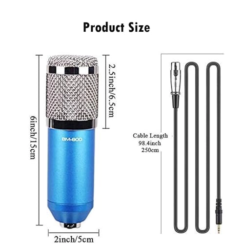 BM-800 XLR Microphone