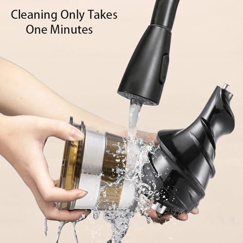 Slow Masticating Juicer - 250W 1L