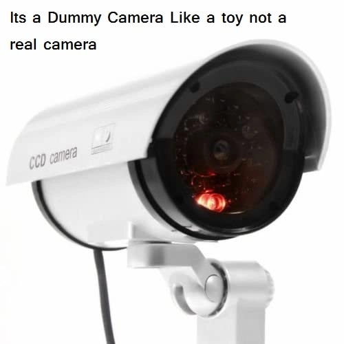 Simulated Security Camera - Outdoor