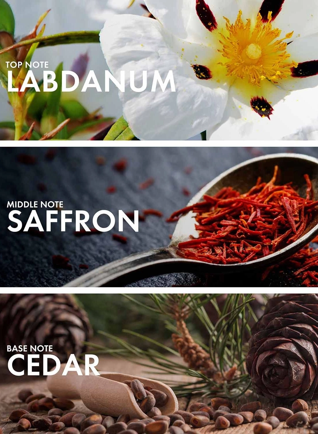 Oud Leather - Eau de Parfum 50ml