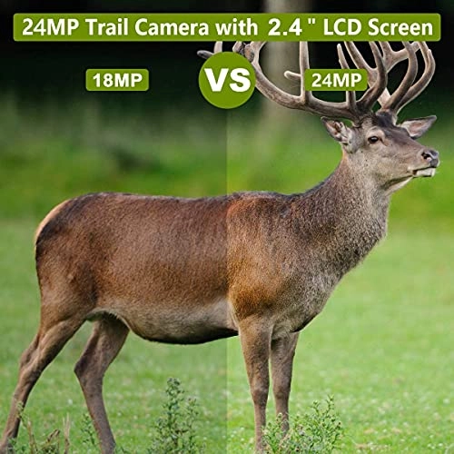 TrailCam-Basic - 16MP