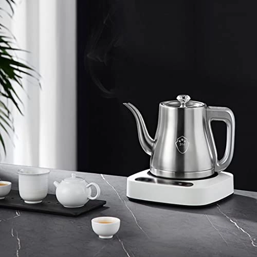 Temperature Control Electric Kettle