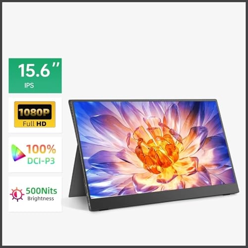 Portable Monitor - 1WLBPJ9KHMTZ 15.6 Inch 1920 * 1080
