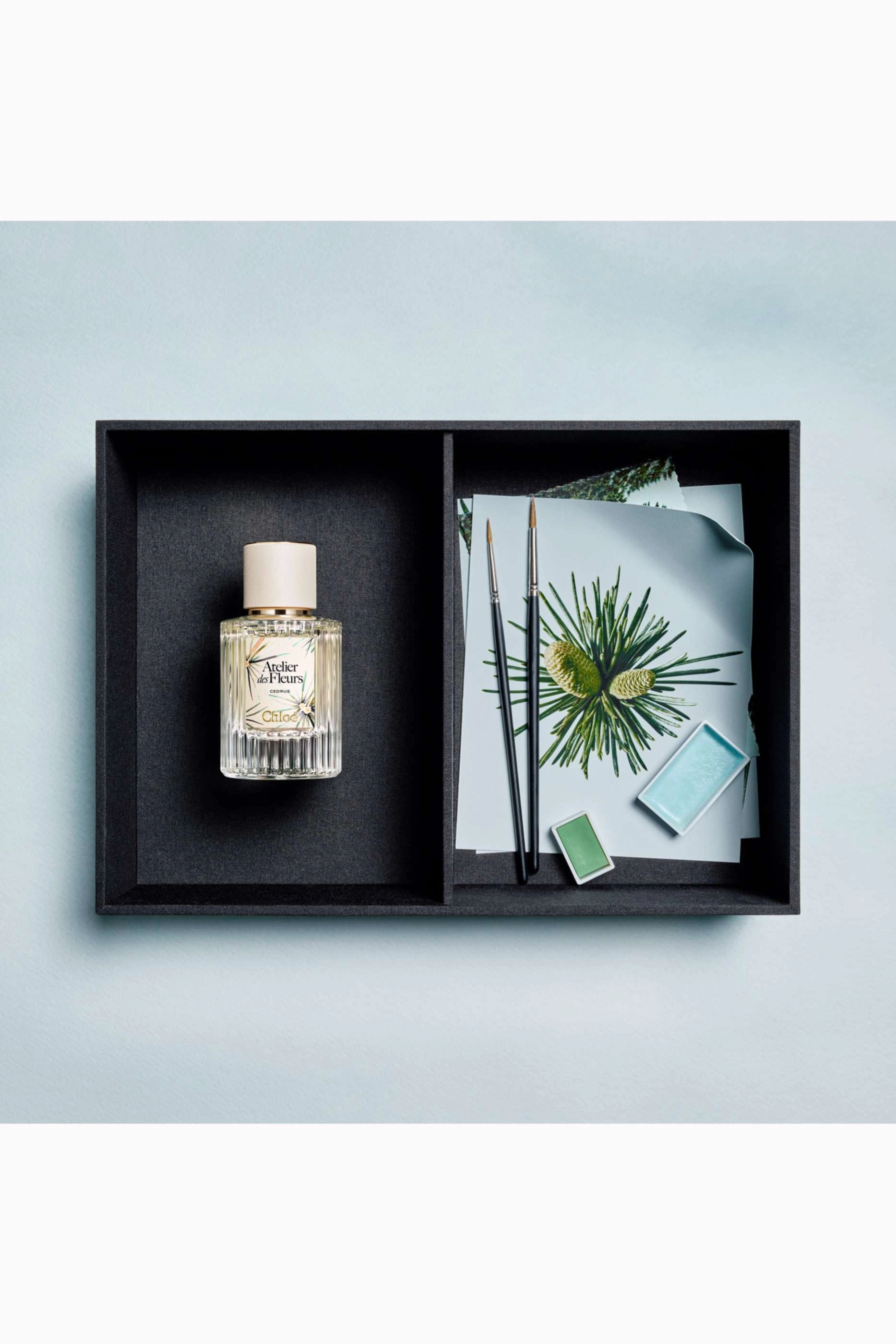 Atelier des Fleurs Cedrus Eau de Parfum 50 ml