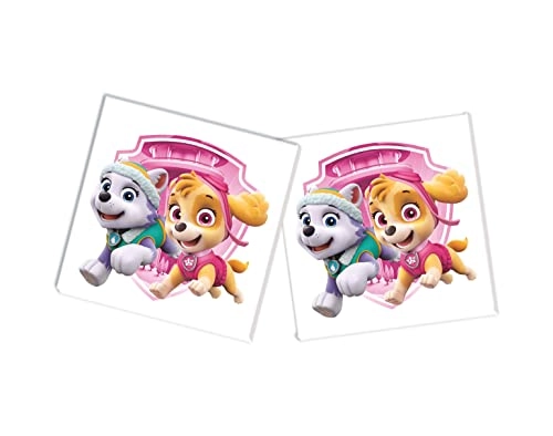 Memo Paw Patrol - 0 - 6 years