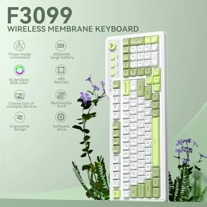 F3099 - Wired/Wireless