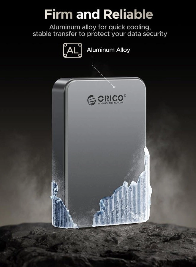 CZ20PLUS - 1 TB