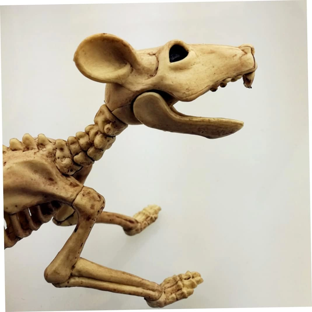 Rat Skeleton - Plastic