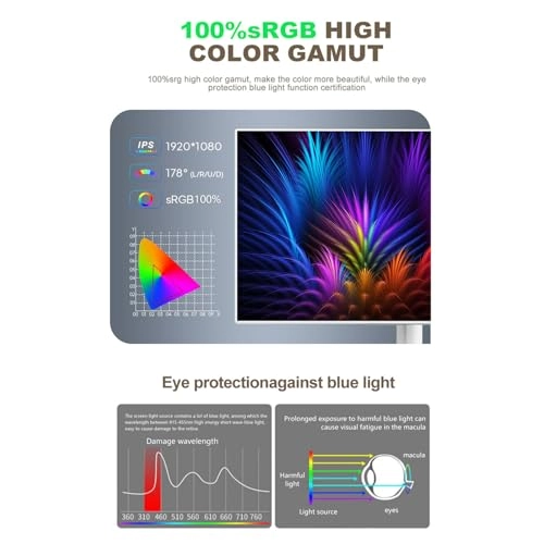 Mobile Touchscreen Television - FHD 21.5"