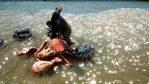 Skull Island: Rise of Kong - PlayStation 5