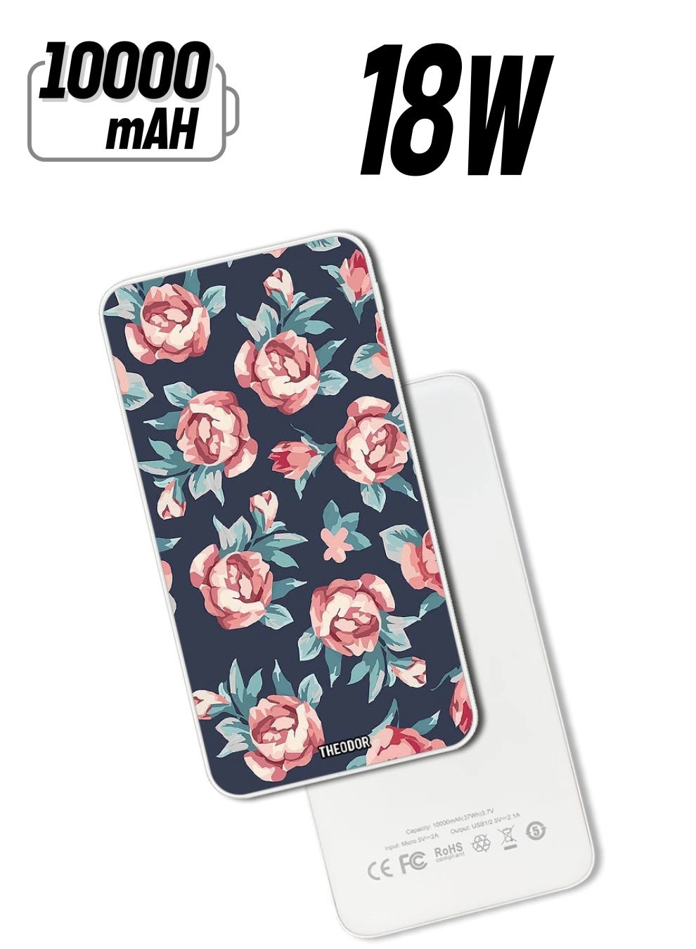 Theodor EX_PPBA179 - 10000 Watt-hour 18W