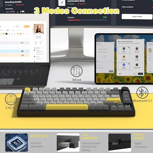 AK820PRO - EN Wired/Wireless