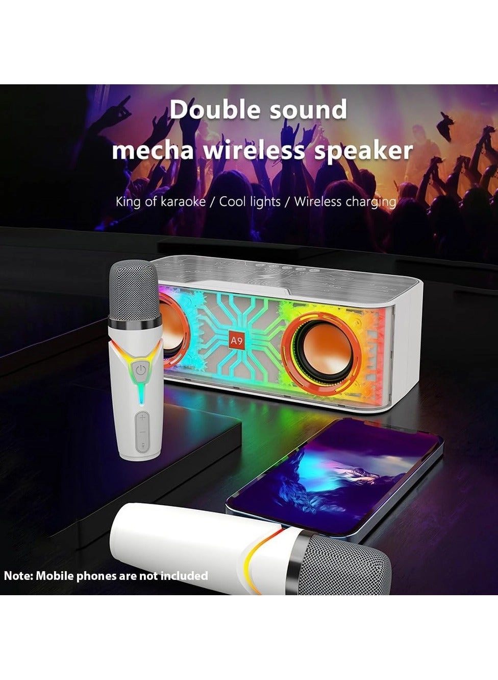 Karaoke Set - 2 Microphones 15W