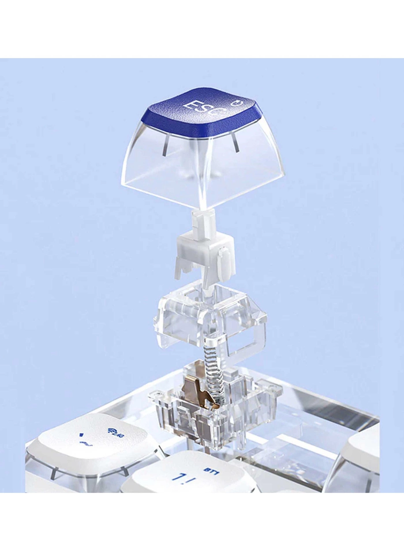 K81 - EN Wired/Wireless