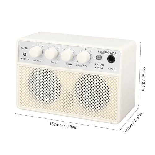 Compact Bass Amplifier - 10W Dual Channel