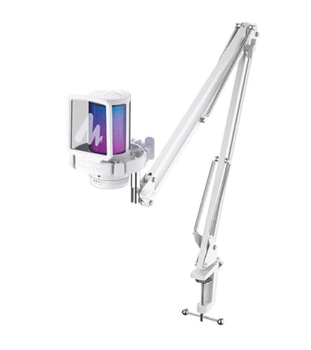 Professional Usb Studio Microphone USB Microphone