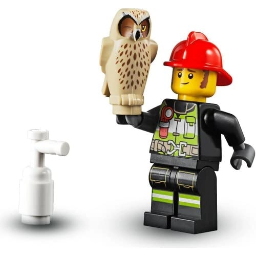 City Forest Fire (60247)