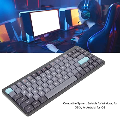 Mechanical Keyboard - Wired/Wireless