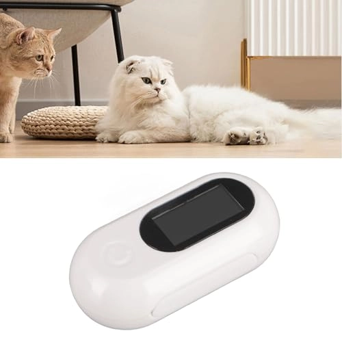 Mini Keychain Camera 2K